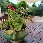 Scanio's House Σπίτι διακοπών Naro