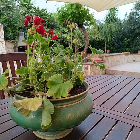 Scanio's House 펜션 Naro