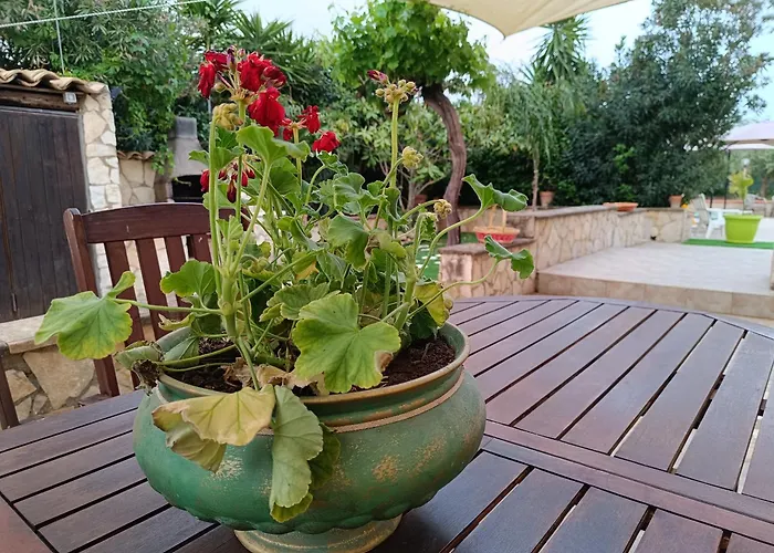 Scanio's House 度假居 Naro